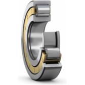 skf-nup-215-ecm-c3-nup-215-ecm-c3