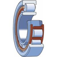 skf-nup-309-ecnrj-c3vm00-nup-309-ecnrj-c3vm004