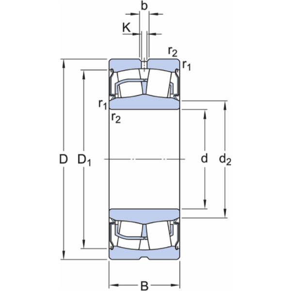 skf-bs2-2214-2rs5-c4gem9-bs2--2214-2rs5-c4gem9--2