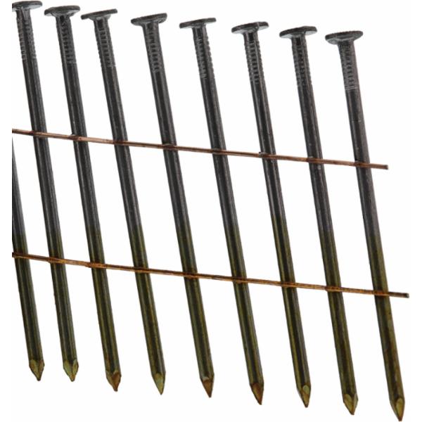 haubold-rnc-504537--7