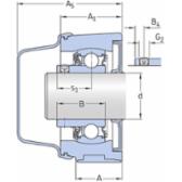skf-p2btc-108-cpss-dfh-p2btc-108--cpss-dfh--2
