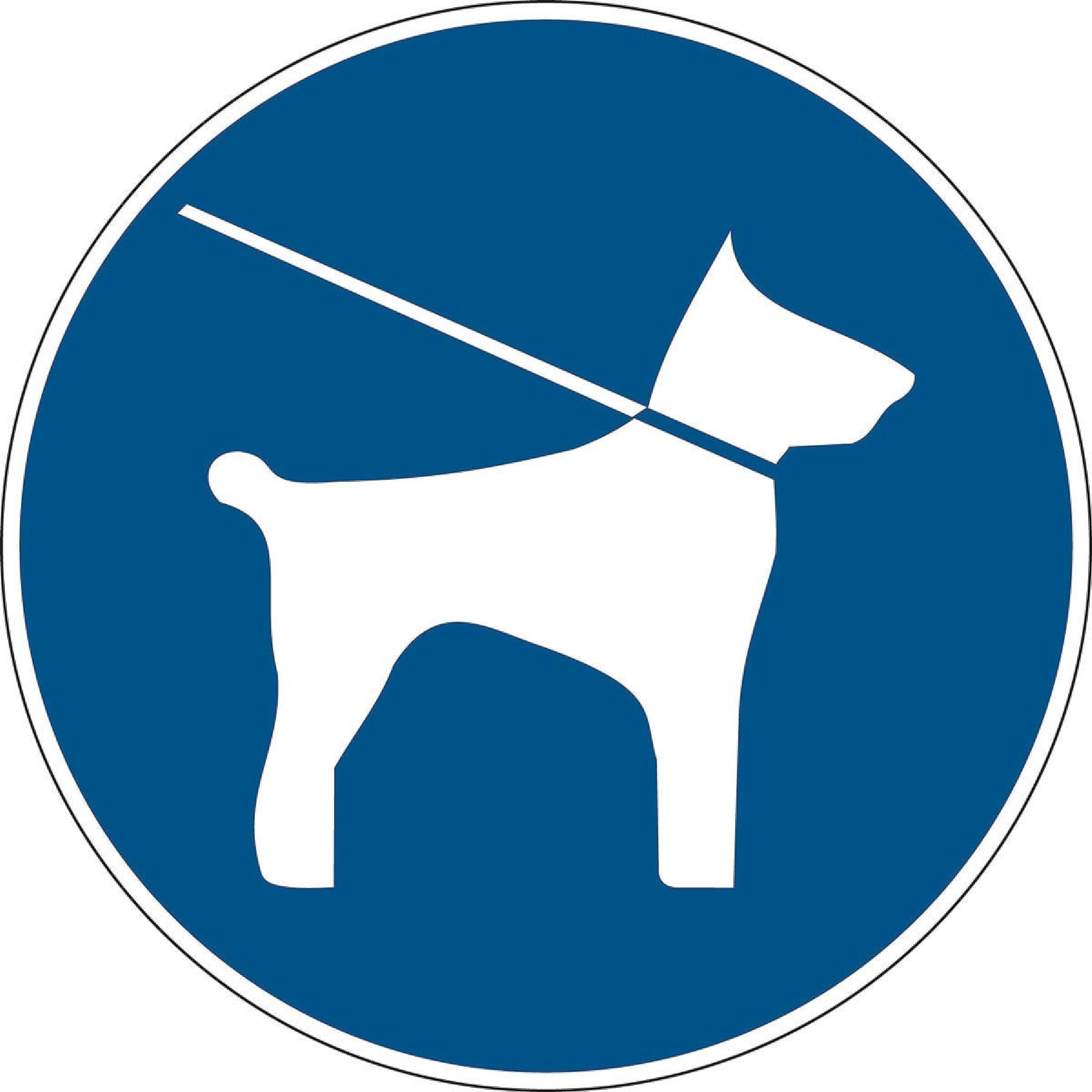 BRADY 222796 Pictogramme D avertissement Obligation De Tenir Les 