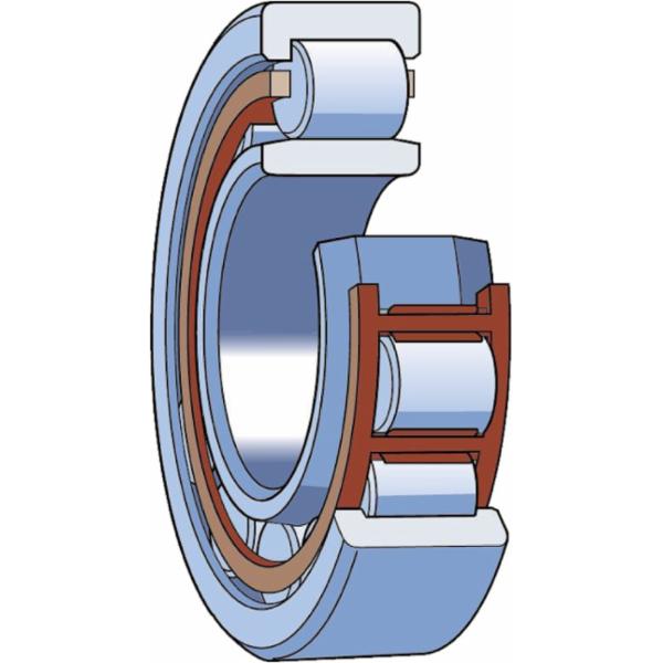 skf-nup-309-ecnj-c3vm004-nup-309-ecnj-c3vm004