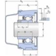 skf-p2btc-100-cpss-dfh-p2btc-100--cpss-dfh--2