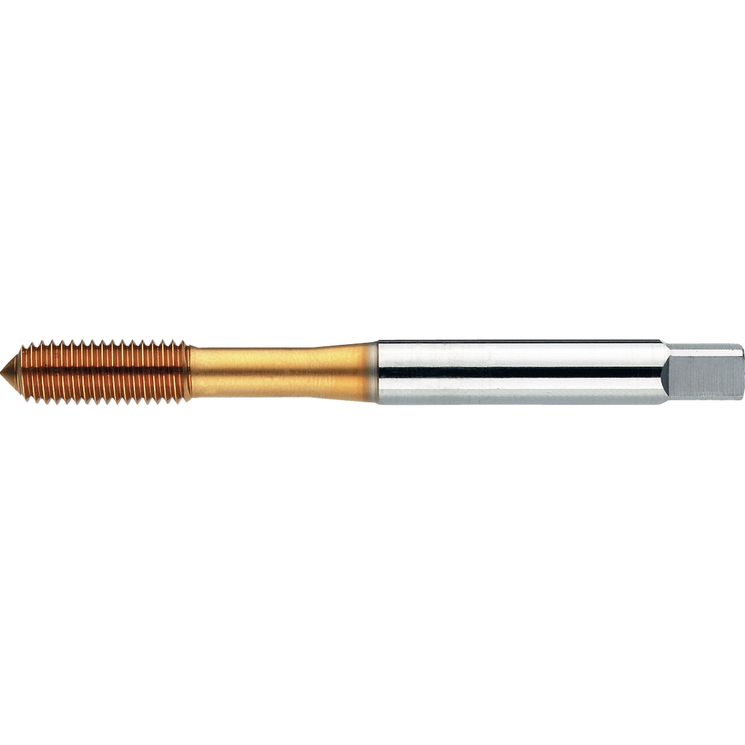 PHANTOM 261100600 HSS-E rolling tap DIN 2174 metric TiN for blind and ...