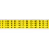 brady-034010-034010