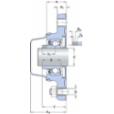 skf-f2bc-108-cpss-dfh-f2bc-108--cpss-dfh--2