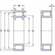 skf-ncf-2920-cv-ncf-2920-cv--2