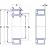 skf-ncf-2920-cv-ncf-2920-cv--2
