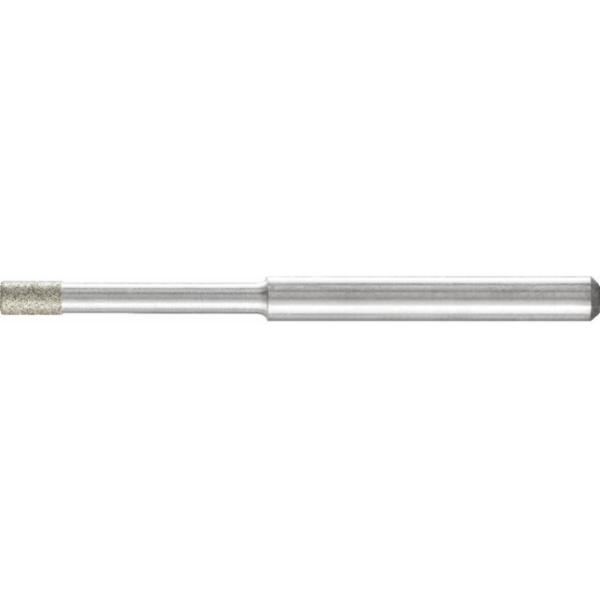 pferd-dzy-36002209
