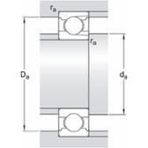 skf-217-217--3