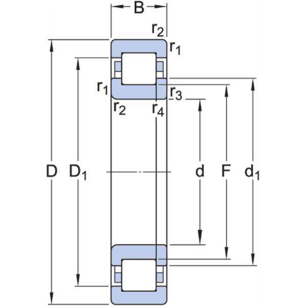 skf-nup-213-ecp-c3-nup-213-ecp-c3--2