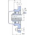skf-f4bc-108-cpss-dfh-f4bc-108--cpss-dfh--2