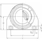 skf-p2btc-100-cpss-dfh-p2btc-100--cpss-dfh--3