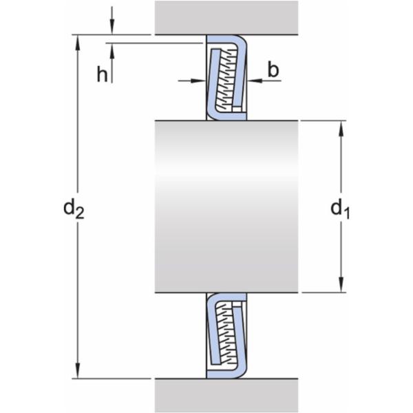 skf-z-007-f-z-007-f--2