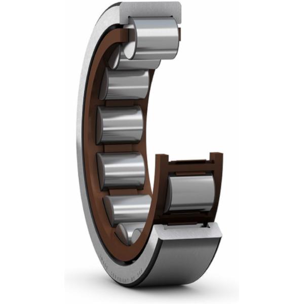 skf-rnu-308-ecp-rnu-308-ecp
